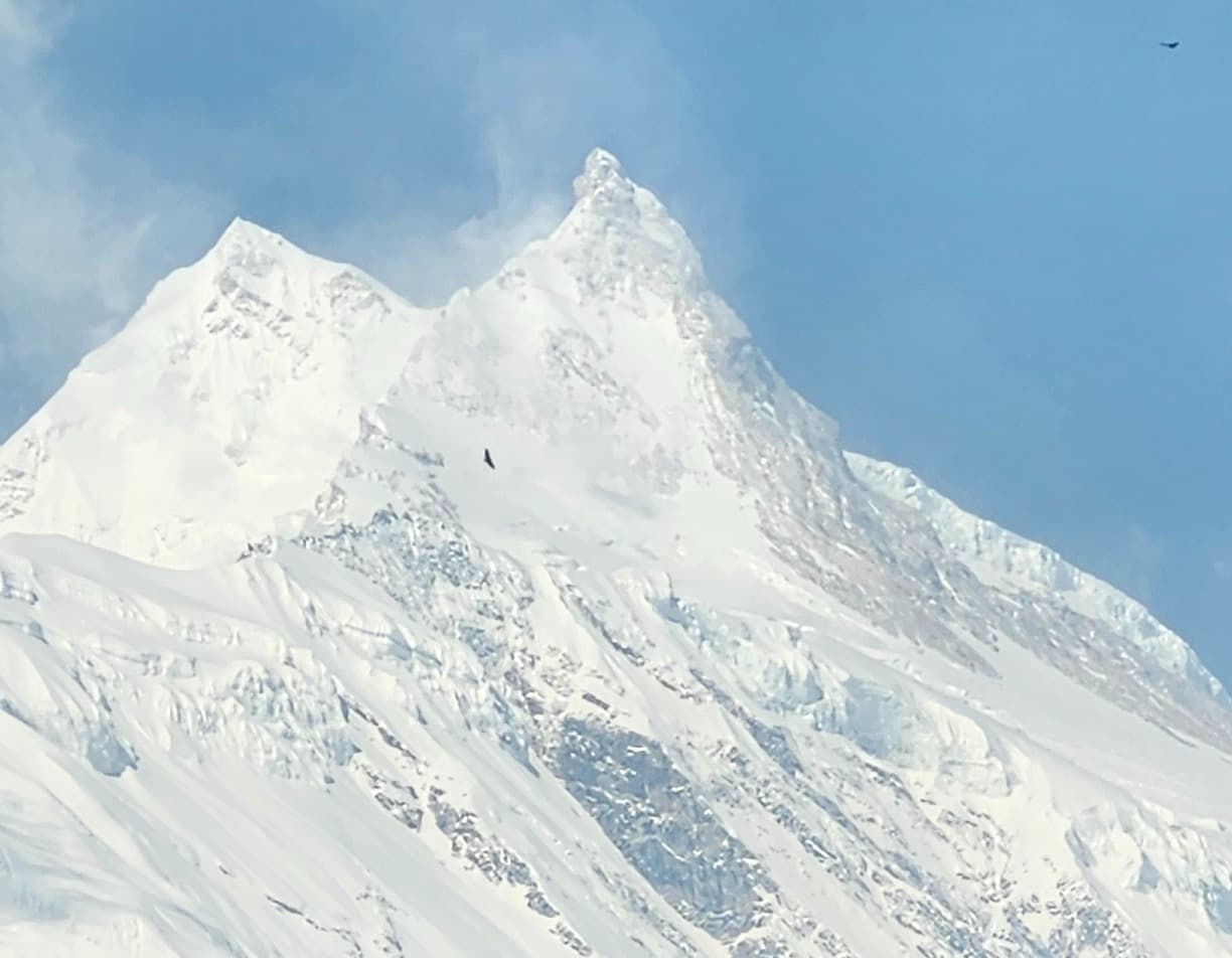 Manaslu Trek Permits 2025/26 | Costs & Rules