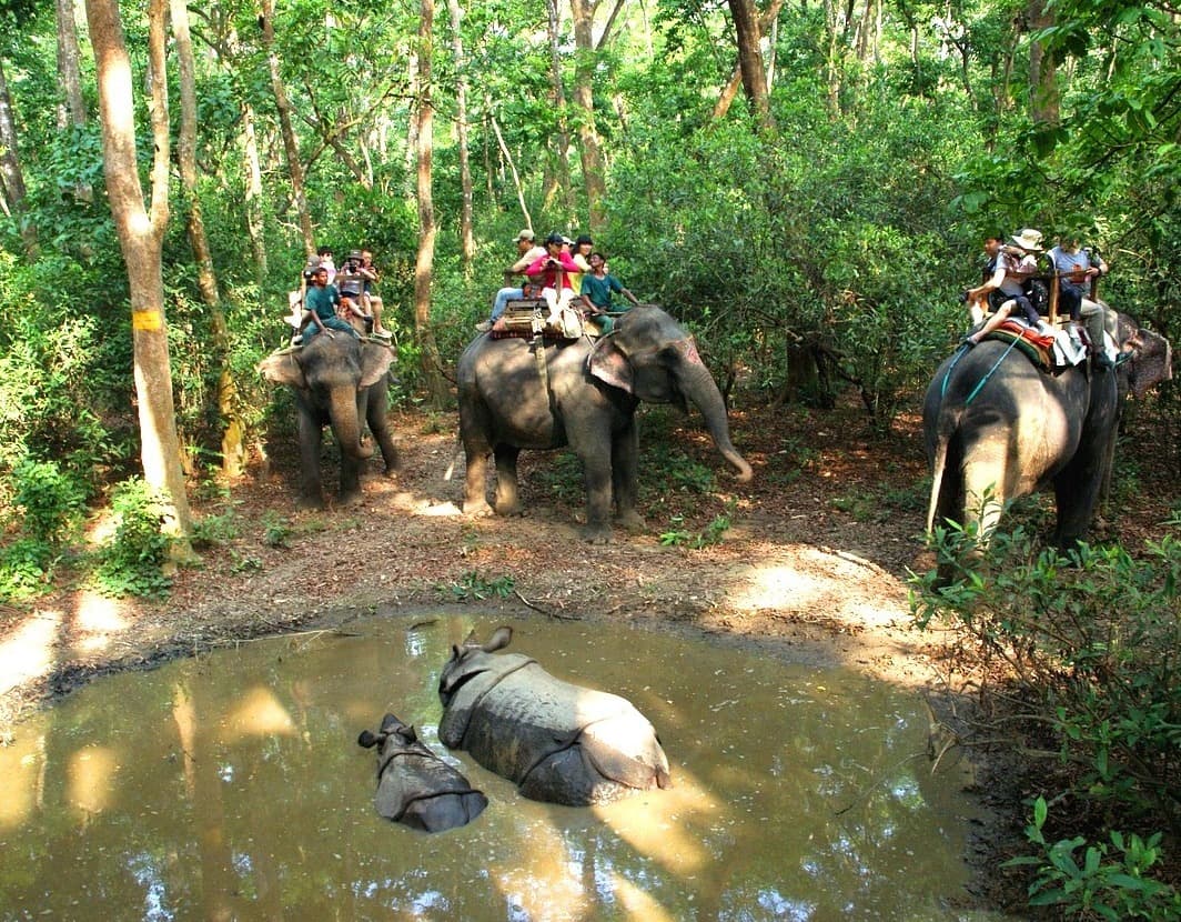 WildLife Adventures in Nepal