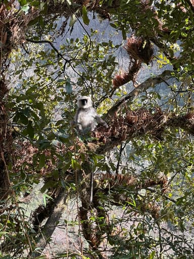 812ddfd8 4b8c 44ba B8be 0a42cf69ca0b