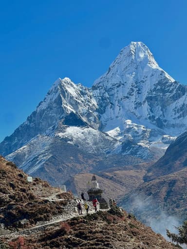 WhatsApp Image 2026 02 16 at 14.44.55 (1)