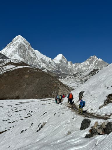 WhatsApp Image 2026 02 16 at 14.50.25