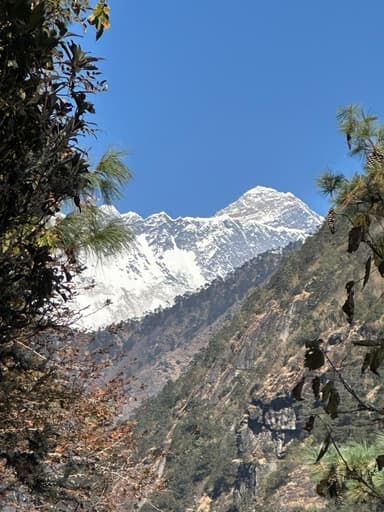 WhatsApp Image 2026 02 16 at 14.57.35